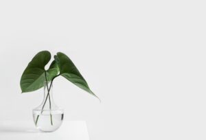 copywriter turistico freelance ana marmol
